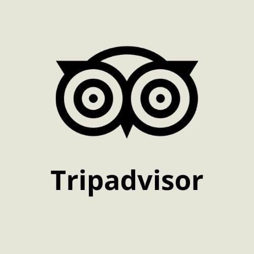 consultez les avis google